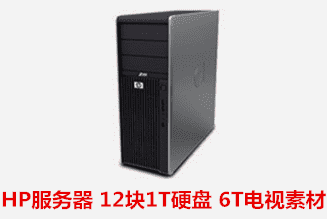HP MSA2000 12块1TB 硬盘 6TB