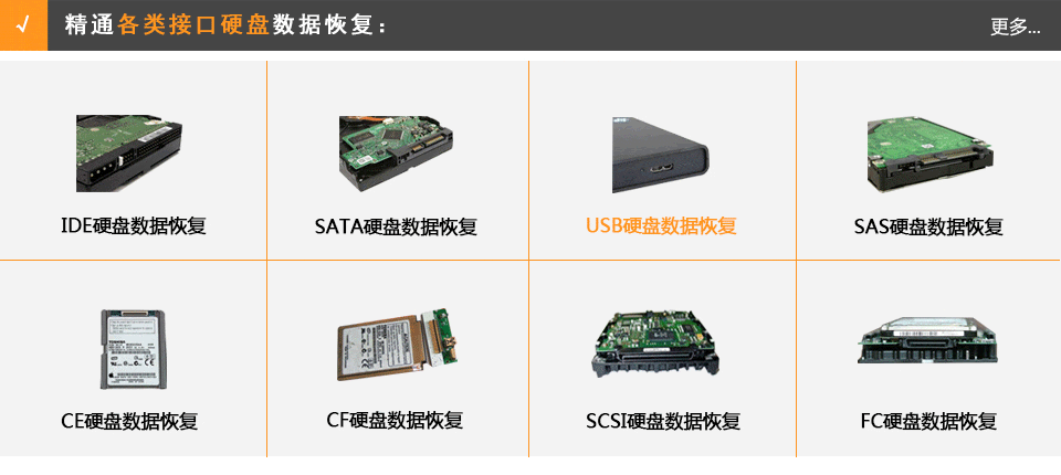USB硬盘数据恢复，SATA硬盘数据恢复，SAS硬盘数据恢复，SCSI硬盘数据恢复，FC光纤硬盘数据恢复